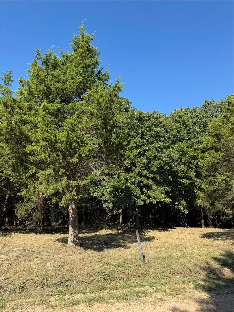 TBD Angus Drive, Garfield, AR 72732 - #1
