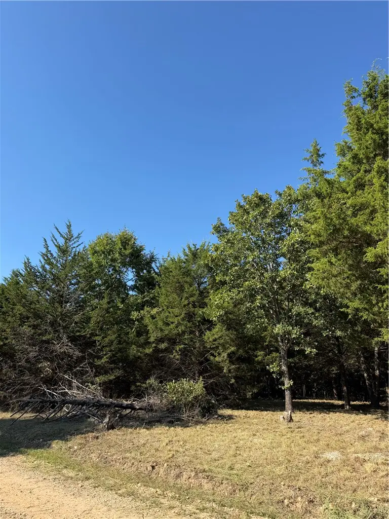 TBD Angus Drive, Garfield, AR 72732 - #2