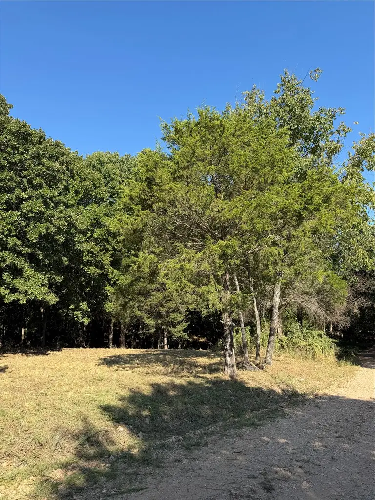 TBD Angus Drive, Garfield, AR 72732 - #3