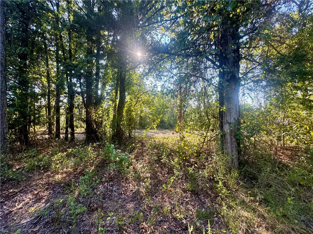 5 Melvin Lane, Dover, AR 72837 - #1