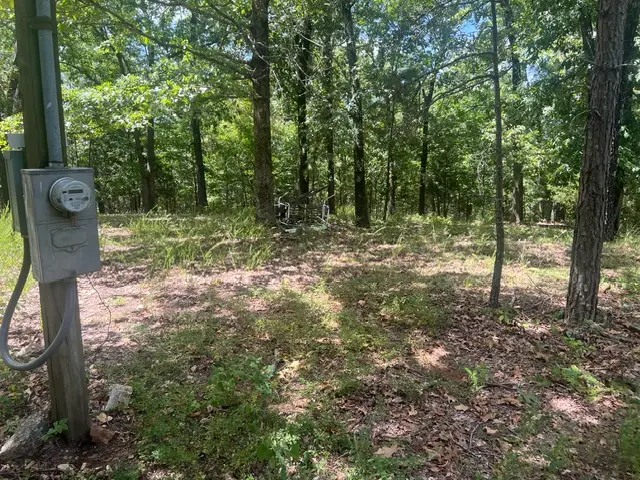 4629 Mallard Terrace, Flippin, AR 72634 - #1