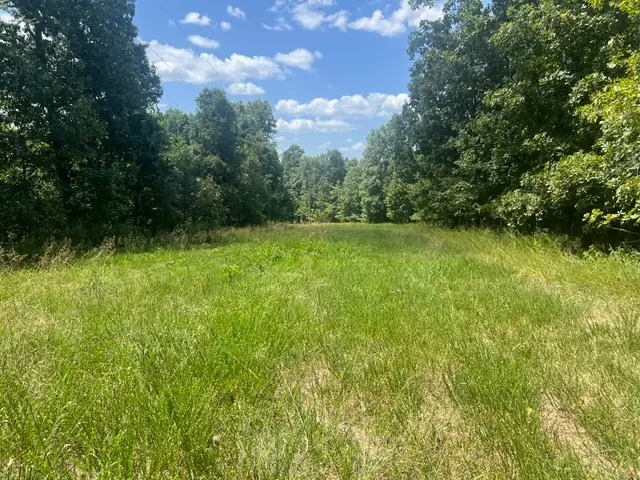 4629 Mallard Terrace, Flippin, AR 72634 - #2