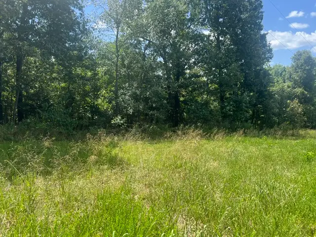 4629 Mallard Terrace, Flippin, AR 72634 - #3