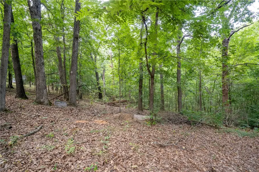 Cook Lane, Bella Vista, AR 72715 - #3