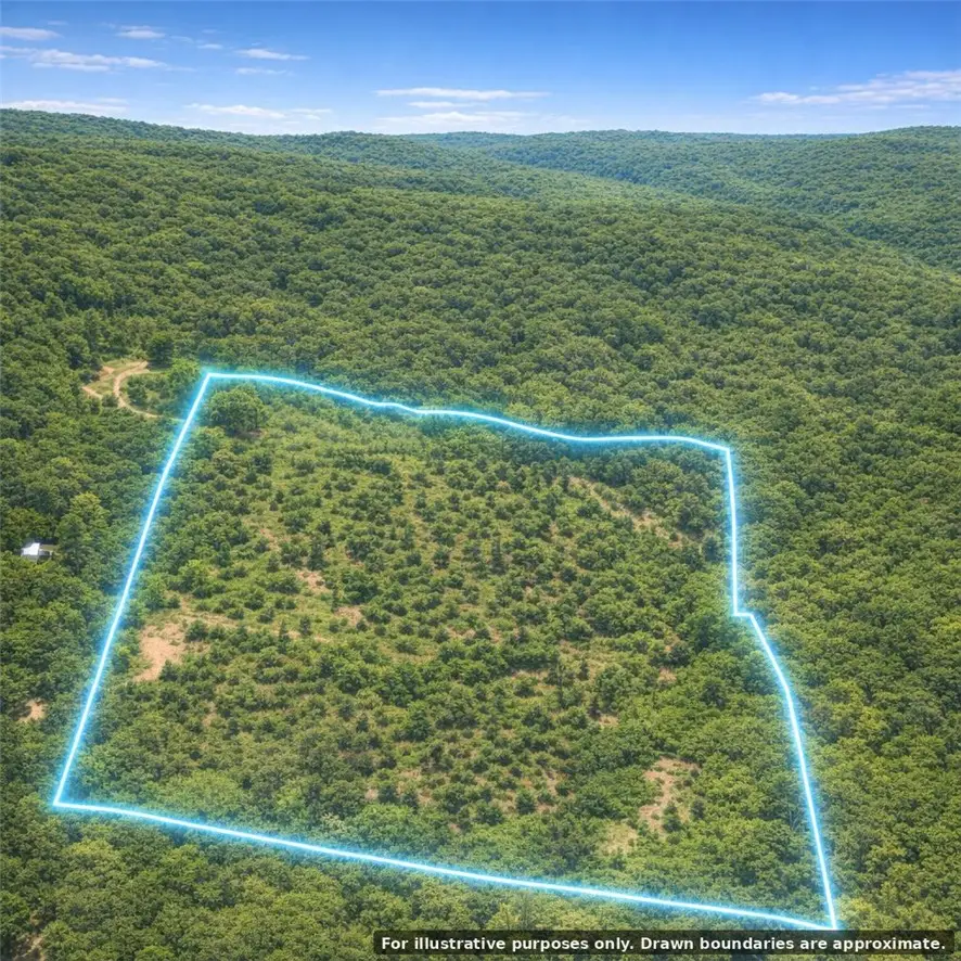 Eaasement, Marble Falls, AR 72648 - #2