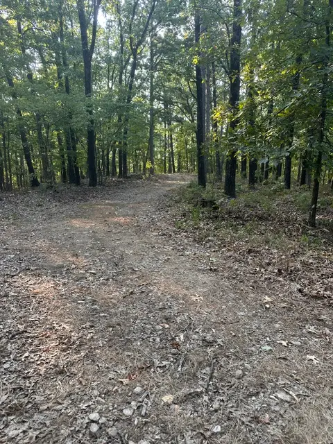 TBD Windsong Lane, Eureka Springs, AR 72631 - #2