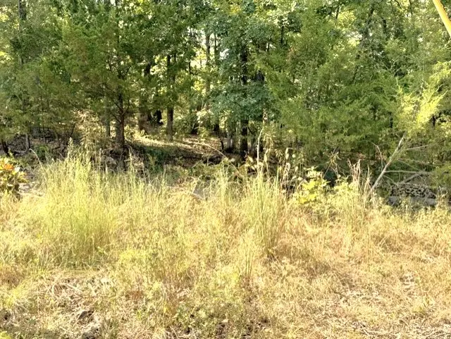 18886 Sugar Creek Road, Garfield, AR 72732 - #3