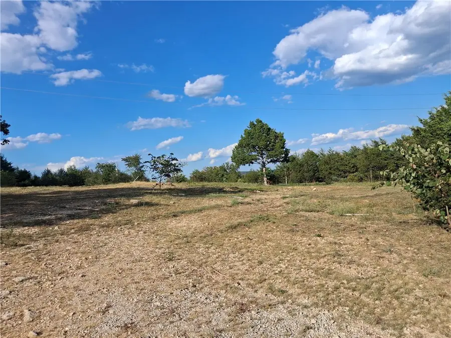 3369 County Road 219, Berryville, AR 72616 - #3