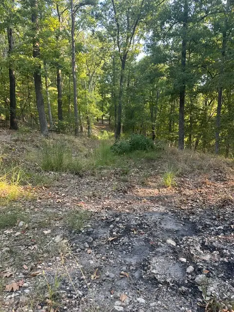 TBD Windsong Lane, Eureka Springs, AR 72631 - #2