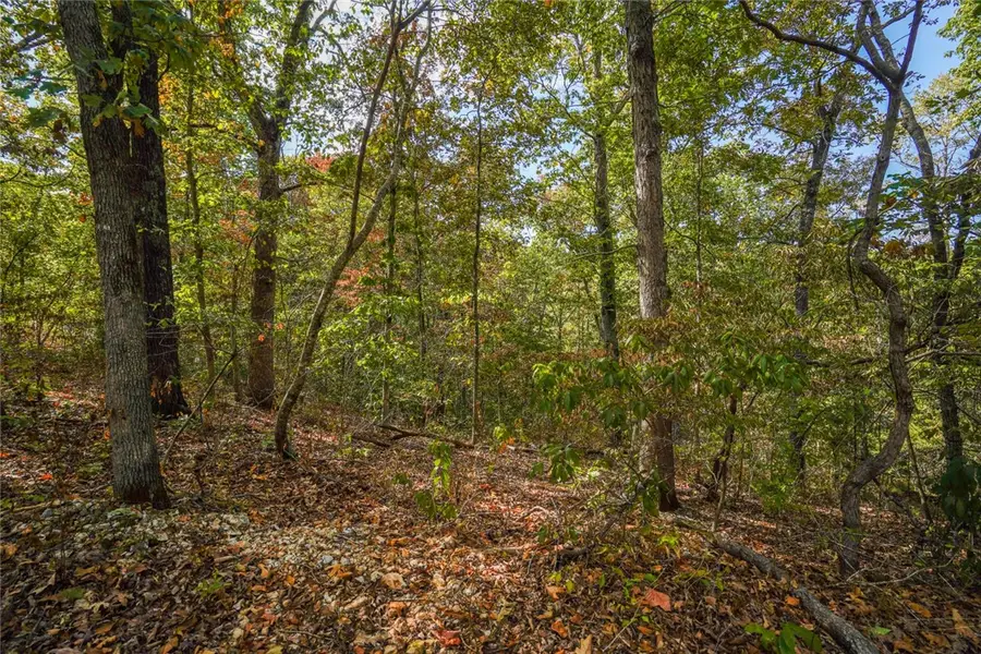 Lots 13,14, & 15 Murphy Drive, Bella Vista, AR 72715 - #3
