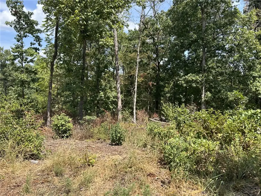 Rupert Lane, Bella Vista, AR 72715 - #2