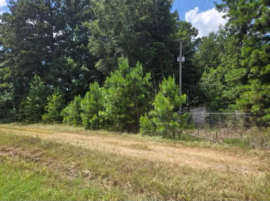 .91 Acre Us Highway 82, Steel, AR 71845 - #2