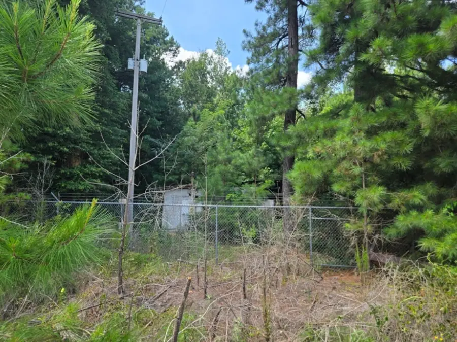.91 Acre Us Highway 82, Steel, AR 71845 - #3