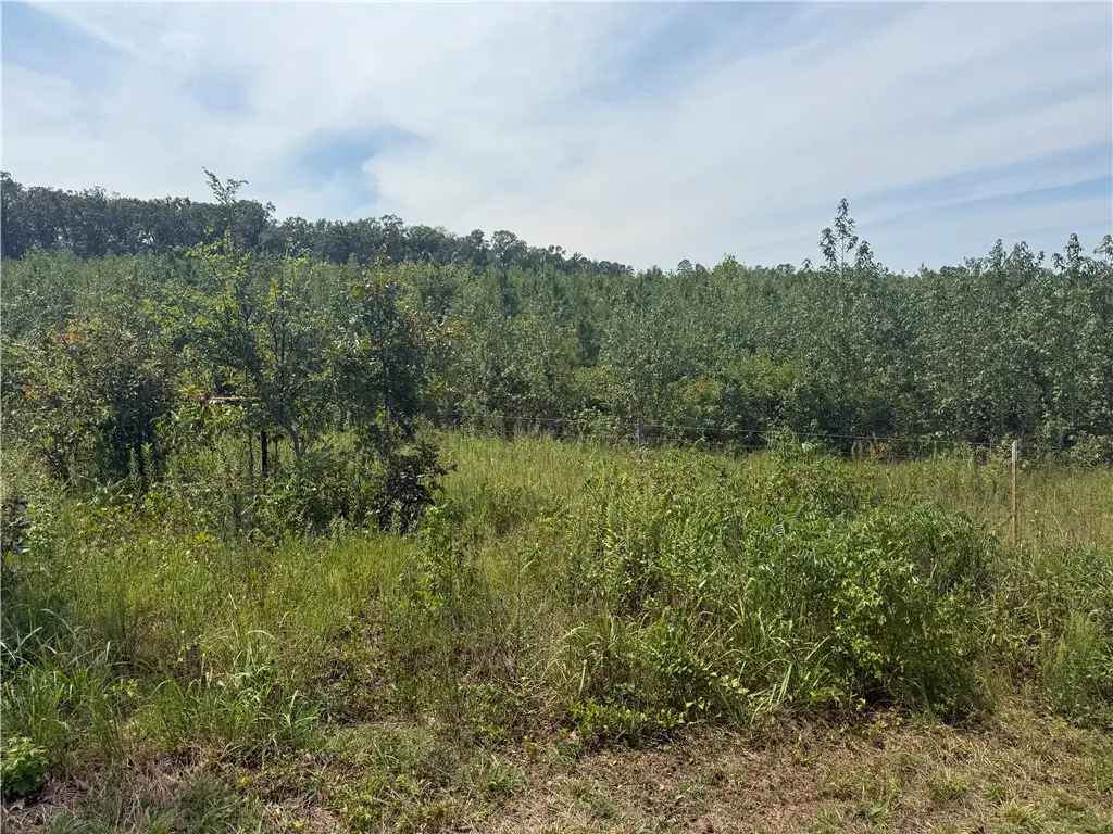 000 Williams Ridge Drive, Dover, AR 72837 - #1