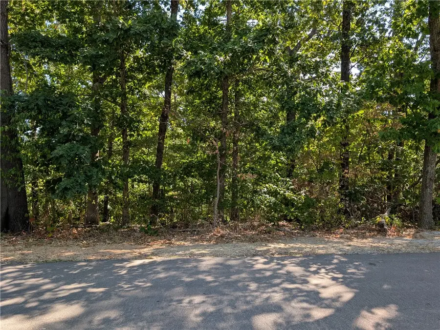 Lot 5 Kintyre Drive, Bella Vista, AR 72715 - #2