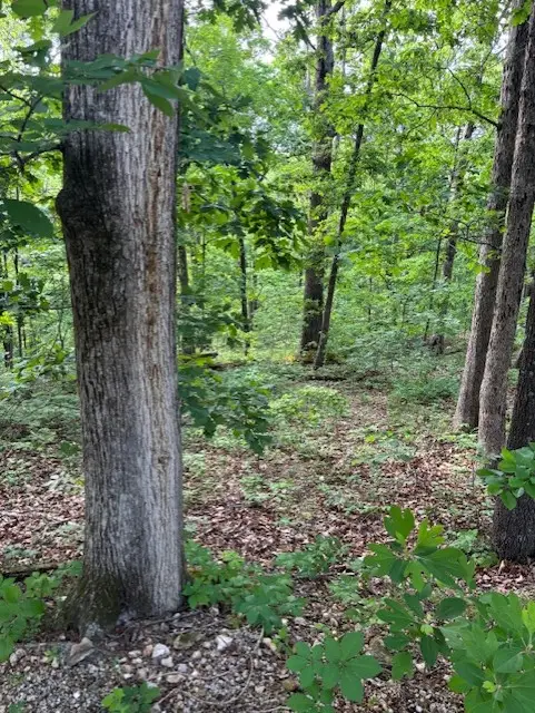 St Ives Circle, Bella Vista, AR 72714