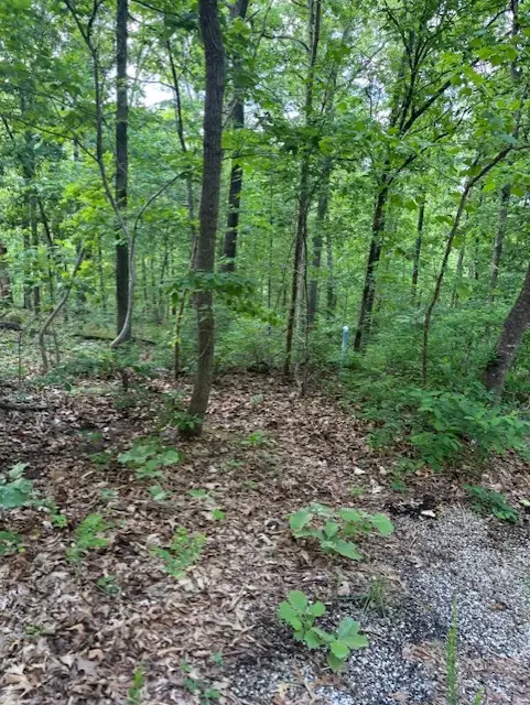 Eston Lane, Bella Vista, AR 72714 - #1