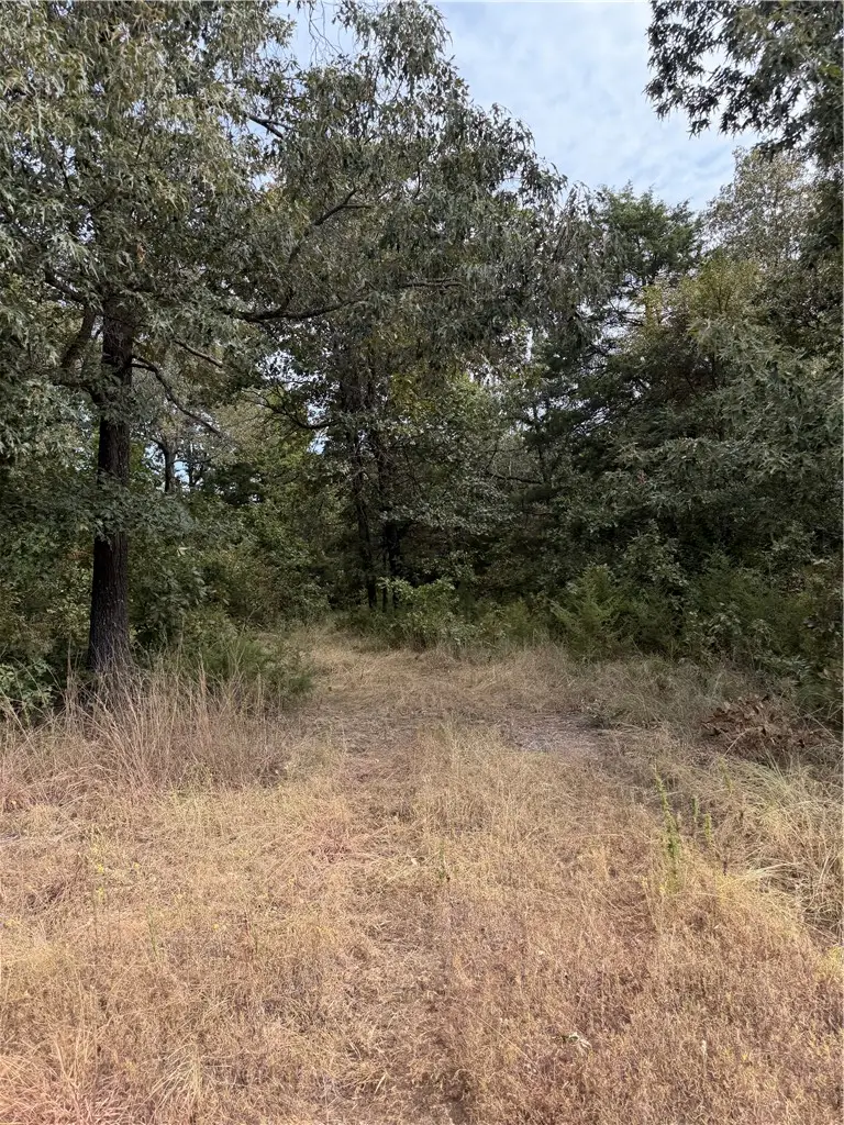 TBD Lot 23 2340 Madison Madison 2340, Huntsville, AR 72740 - #2