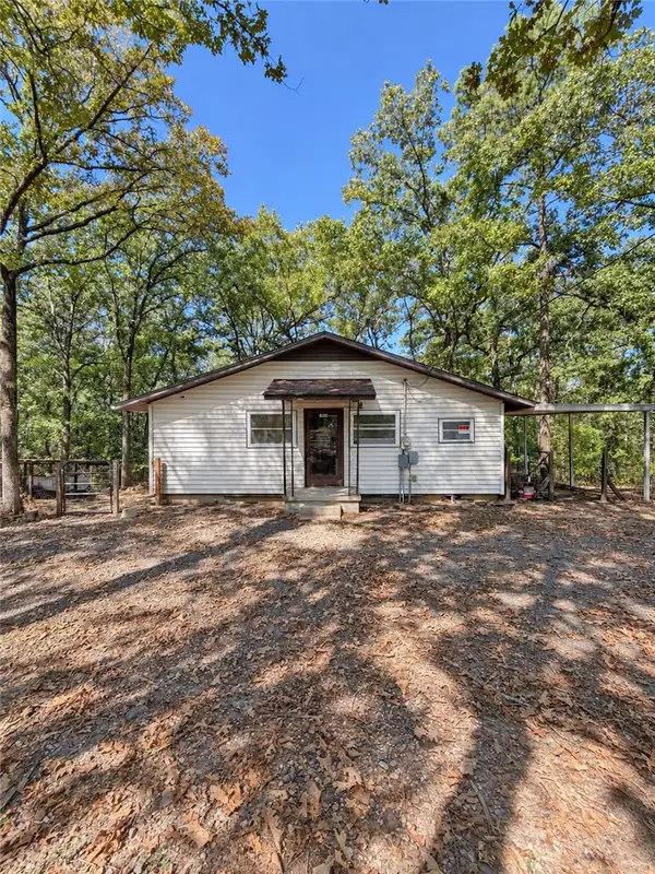 10252 Carter Cove Road, Plainview, AR 72857