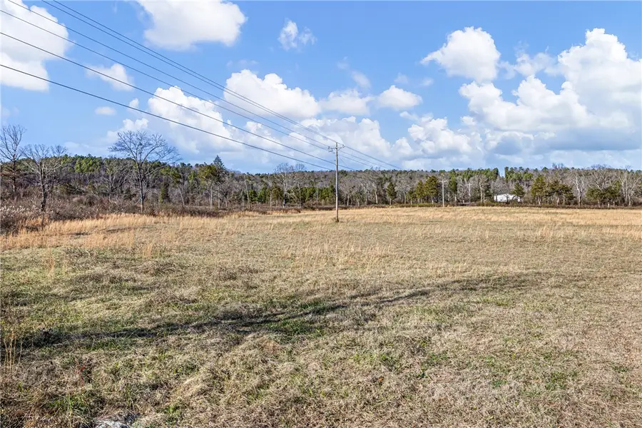 Tracts 4 & 5 Booger Hollow Road, Dover, AR 72837 - #3