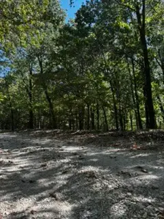 Cr 1520 & Tbd Amble, Eureka Springs, AR 72632 - #1
