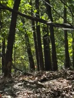 Cr 1520 & Tbd Amble, Eureka Springs, AR 72632 - #2