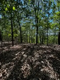 Cr 1520 & Tbd Amble, Eureka Springs, AR 72632 - #3