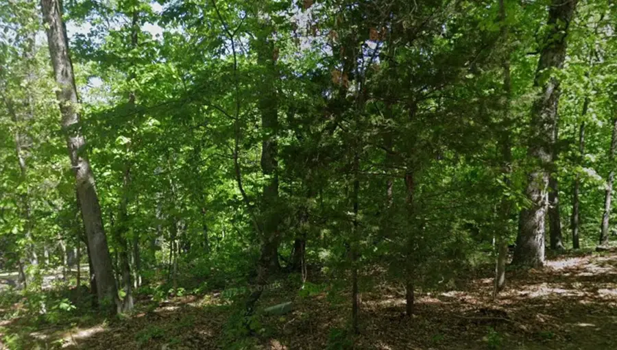 Cunningham Lane, Bella Vista, AR 72715 - #2