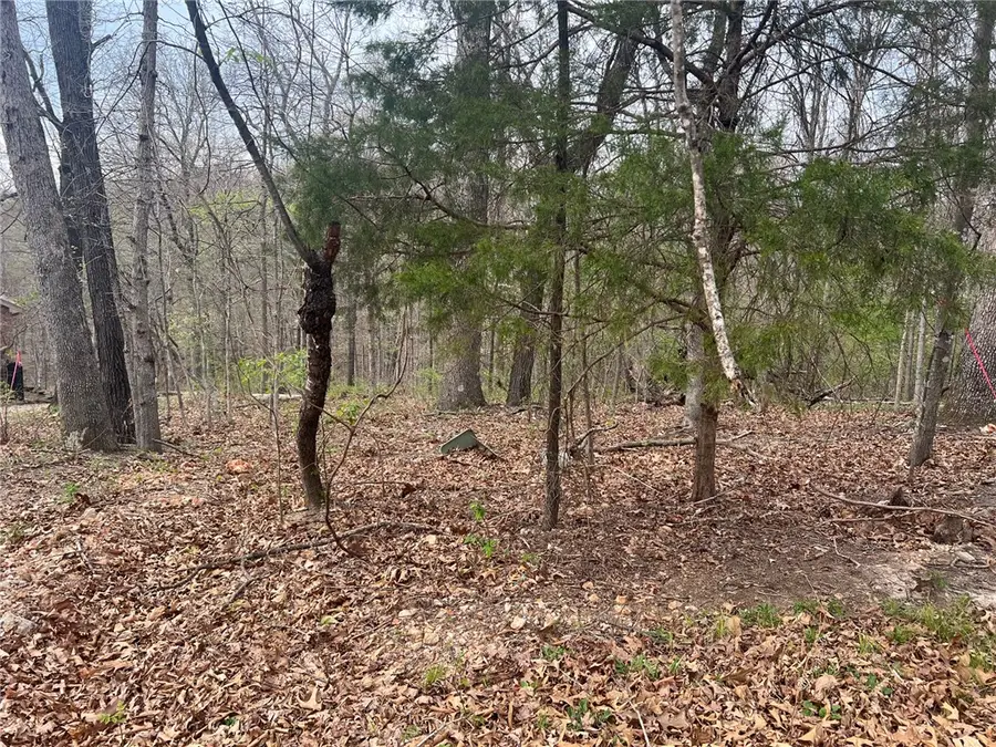 Cunningham Lane, Bella Vista, AR 72715 - #3