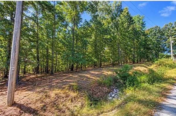 Kelaen Circle, Bella Vista, AR 72715