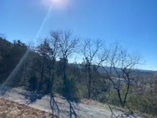 12 Lakeview Lane, Holiday Island, AR 72631 - #1