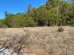 12 Lakeview Lane, Holiday Island, AR 72631 - #3
