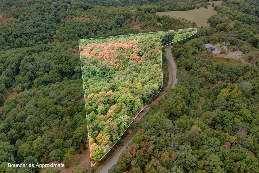 1351 Cr 108, Eureka Springs, AR 72631 - #2