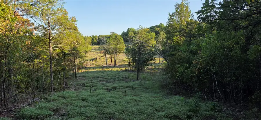 19001 Old Lowery Road, Omaha, AR 72662 - #2