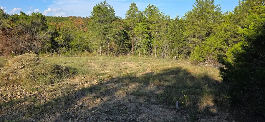 19001 Old Lowery Road, Omaha, AR 72662 - #3