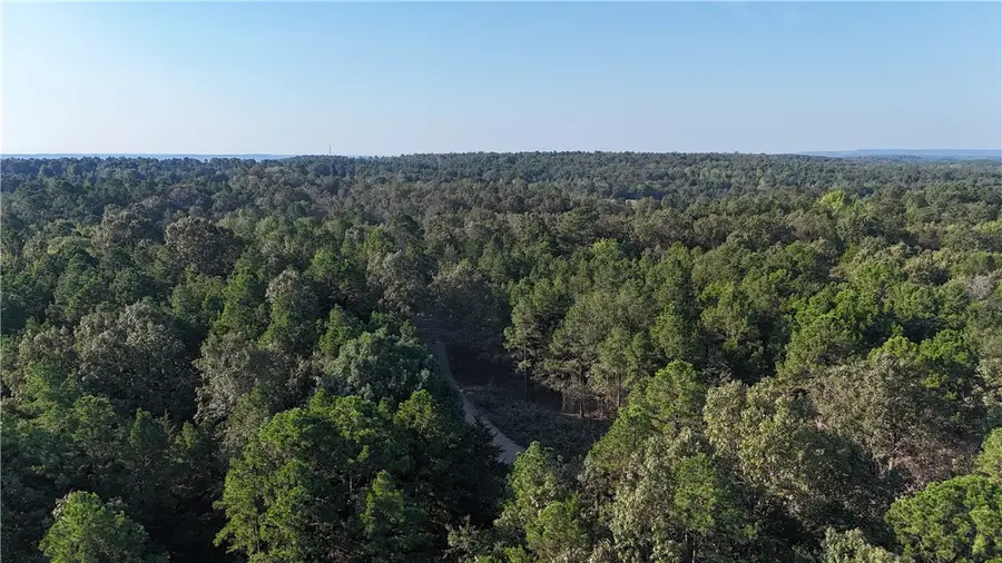 990 Mahan Drive, Walker, AR 72027 - #2