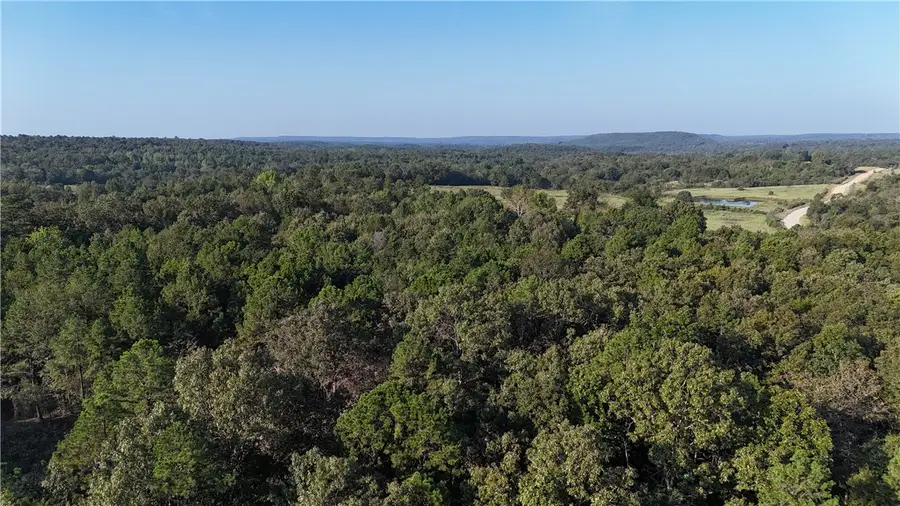 990 Mahan Drive, Walker, AR 72027 - #3