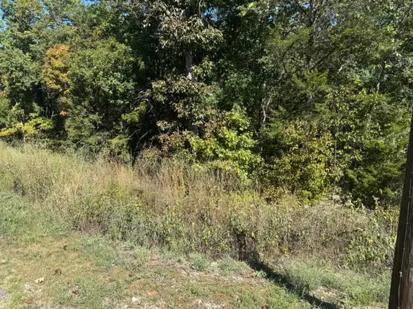 80 Wild Turkey Drive, Holiday Island, AR 72631
