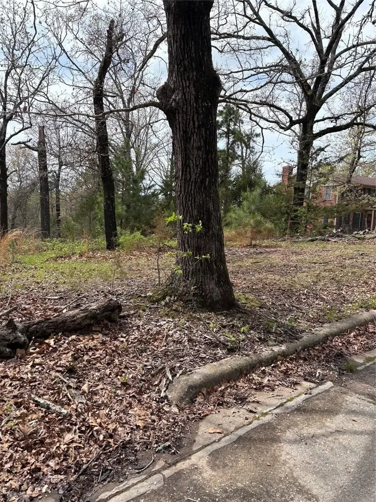 TBD N Lakewood Drive, Lowell, AR 72745 - #1