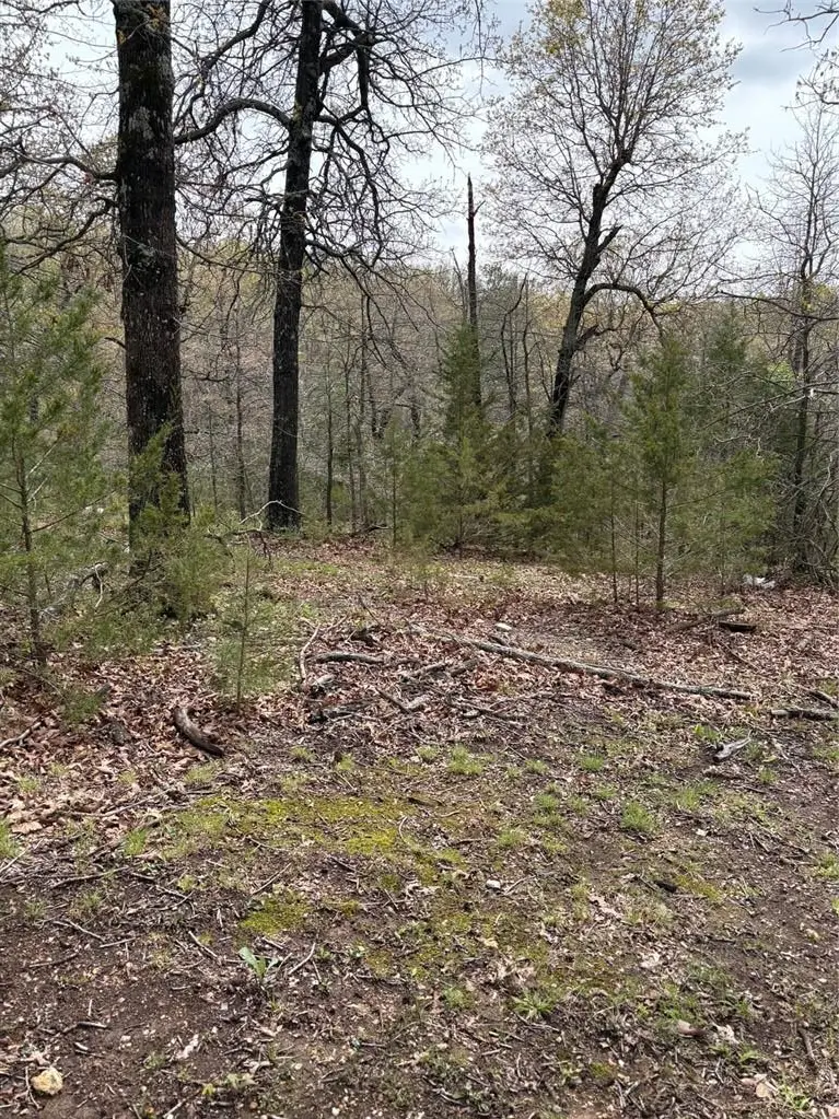 TBD N Lakewood Drive, Lowell, AR 72745 - #2