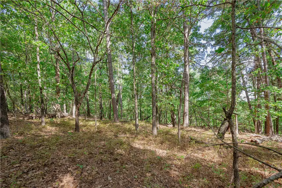 Deer Lake Drive, Kansas, OK 74347 - #2