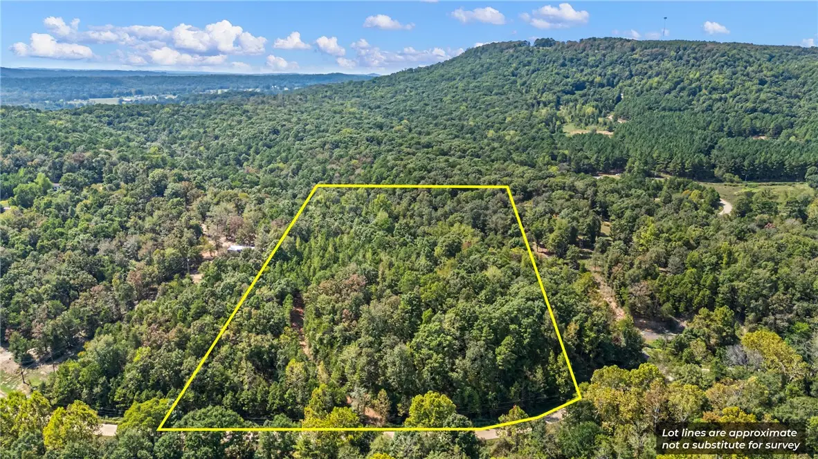 7 Acres Off Quicker Still Lane, Dover, AR 72837 - #1