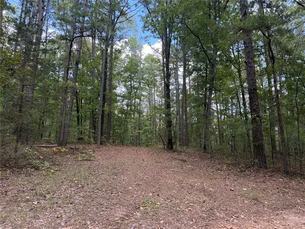 Tract 2 Oakland Road, St Joe, AR 72675