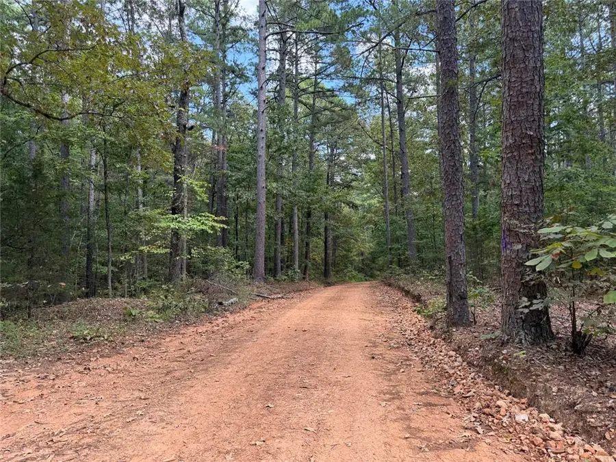 Tract 2 Oakland Road, Saint Joe, AR 72675 - #3