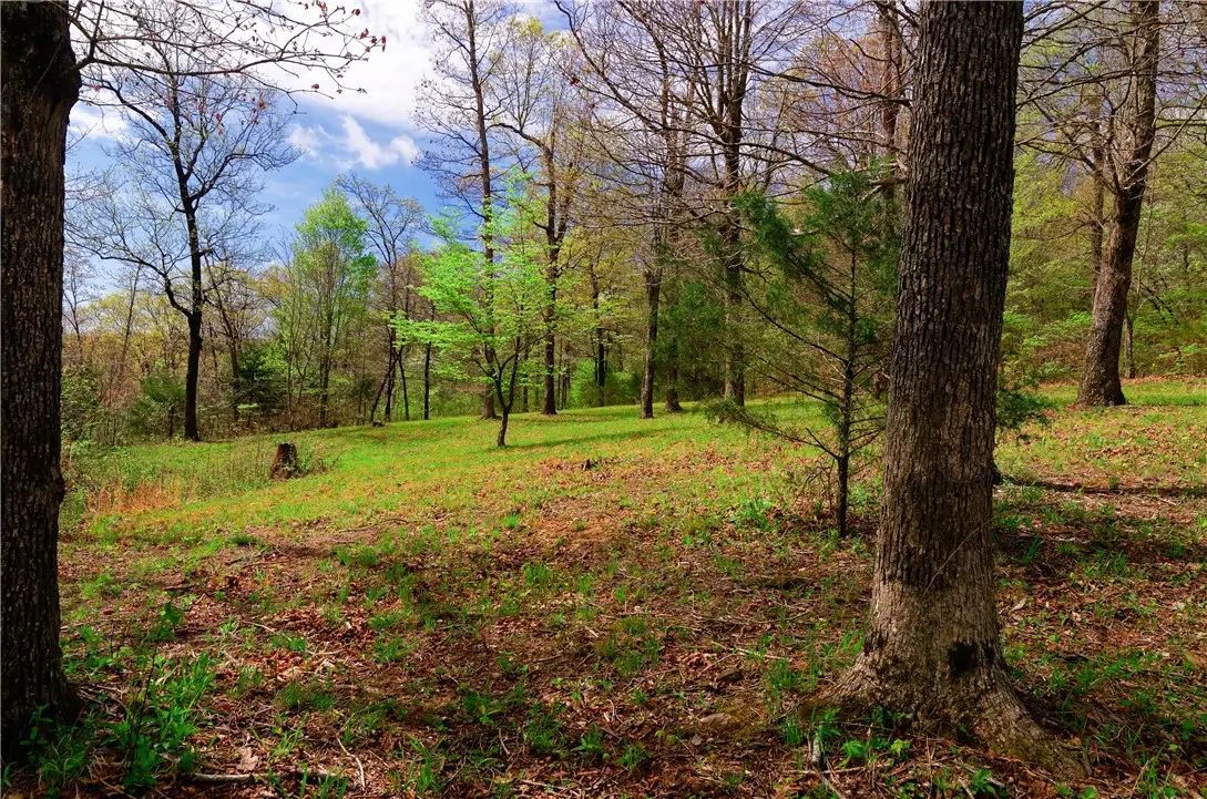 14240 Truelove Road, West Fork, AR 72774 - #1
