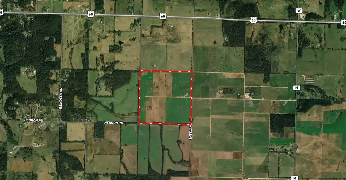 10621 Skylark Drive, Granby, MO 64844 - #1