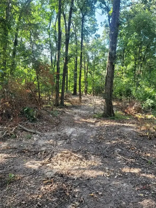 3 Acres E Adams Street, Lincoln, AR 72744
