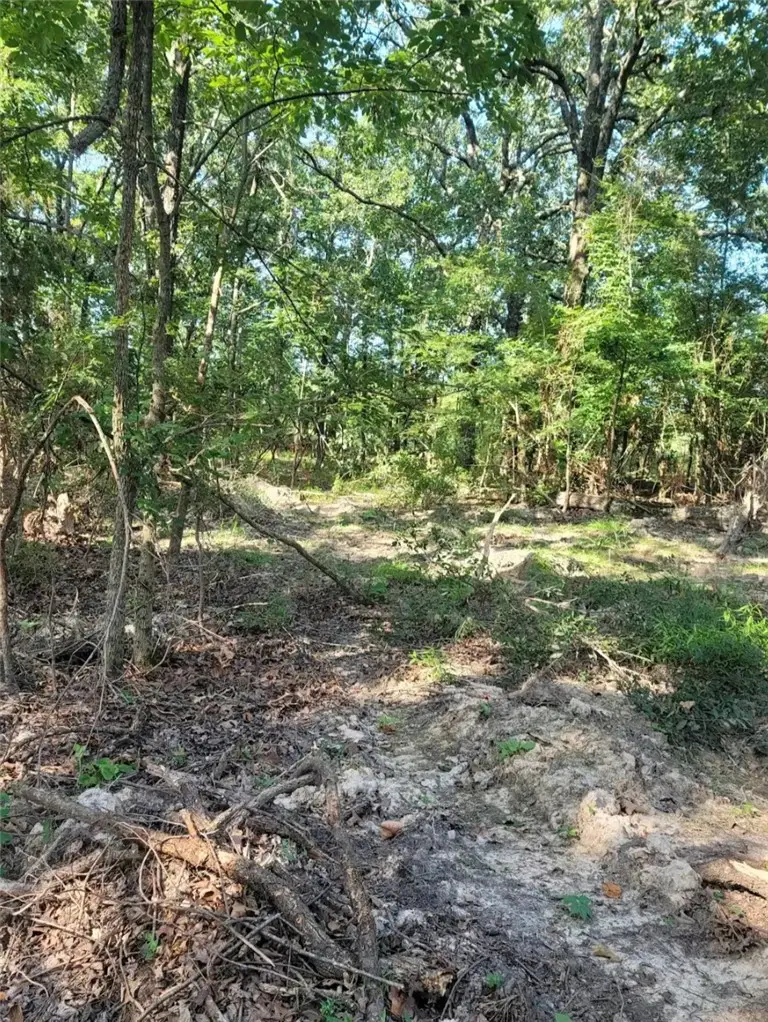 1.37 Acre E Adams Street, Lincoln, AR 72744 - #3