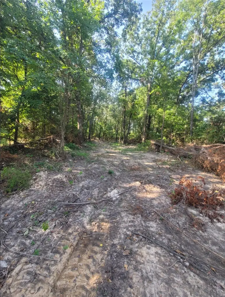 1.13 Acre E Adams Street, Lincoln, AR 72744 - #2