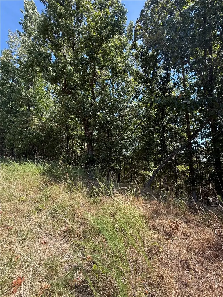 LOT A Old Campbell Road, Rogers, AR 72756 - #2